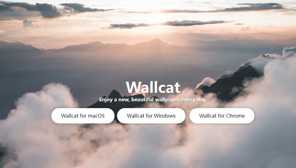 WallCat(ֽè)