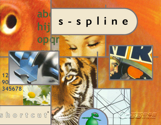 S-Spline 