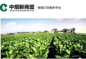 中国烟草网上订货平台-中烟新商盟网页登录