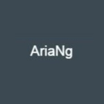 AriaNg(̹߳)