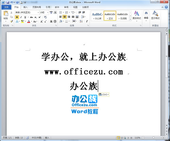 Word2010Insert