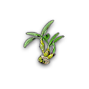 ĸ