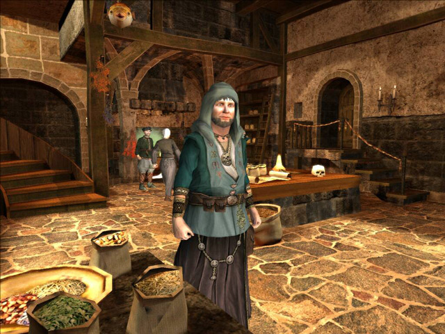л2ո˼İ(The Guild 2: Renaissance)ͼ