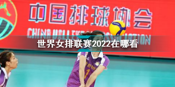 世界女排联赛2022赛程直播：在哪看，一网打尽！