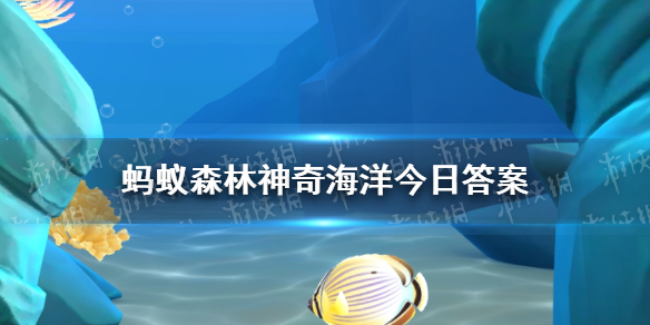 海洋中螃蟹的足断了还能重新长出来么 神奇海洋7月28日答案