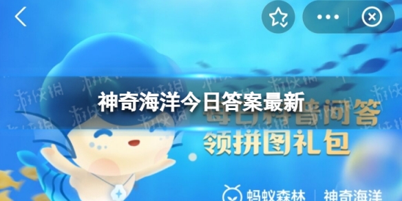 海兔是小丑鱼还是海蛞蝓 神奇海洋今日答案海兔