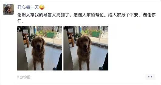 被人顺走的导盲犬已平安回家,被人顺走的导盲犬已平安回家怎么办