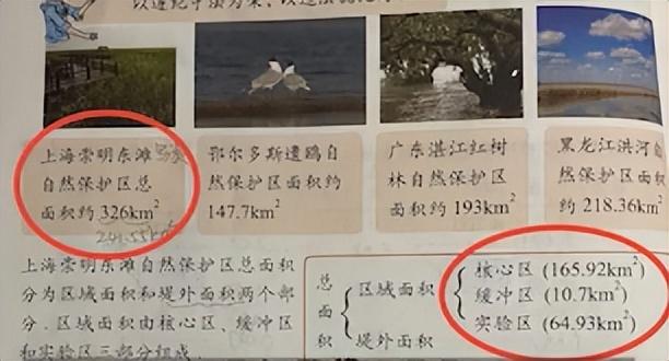 上海小学生发现教材错误,上海小学生发现教材错误怎么办