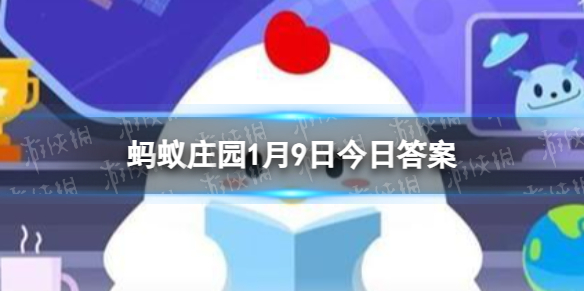 冬天树木下方经常会刷上白色，这是为了 蚂蚁庄园今日答案1月9日