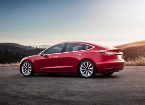 ˹model 3