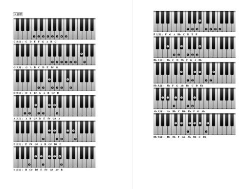 钢琴琴键图对照表数字图片