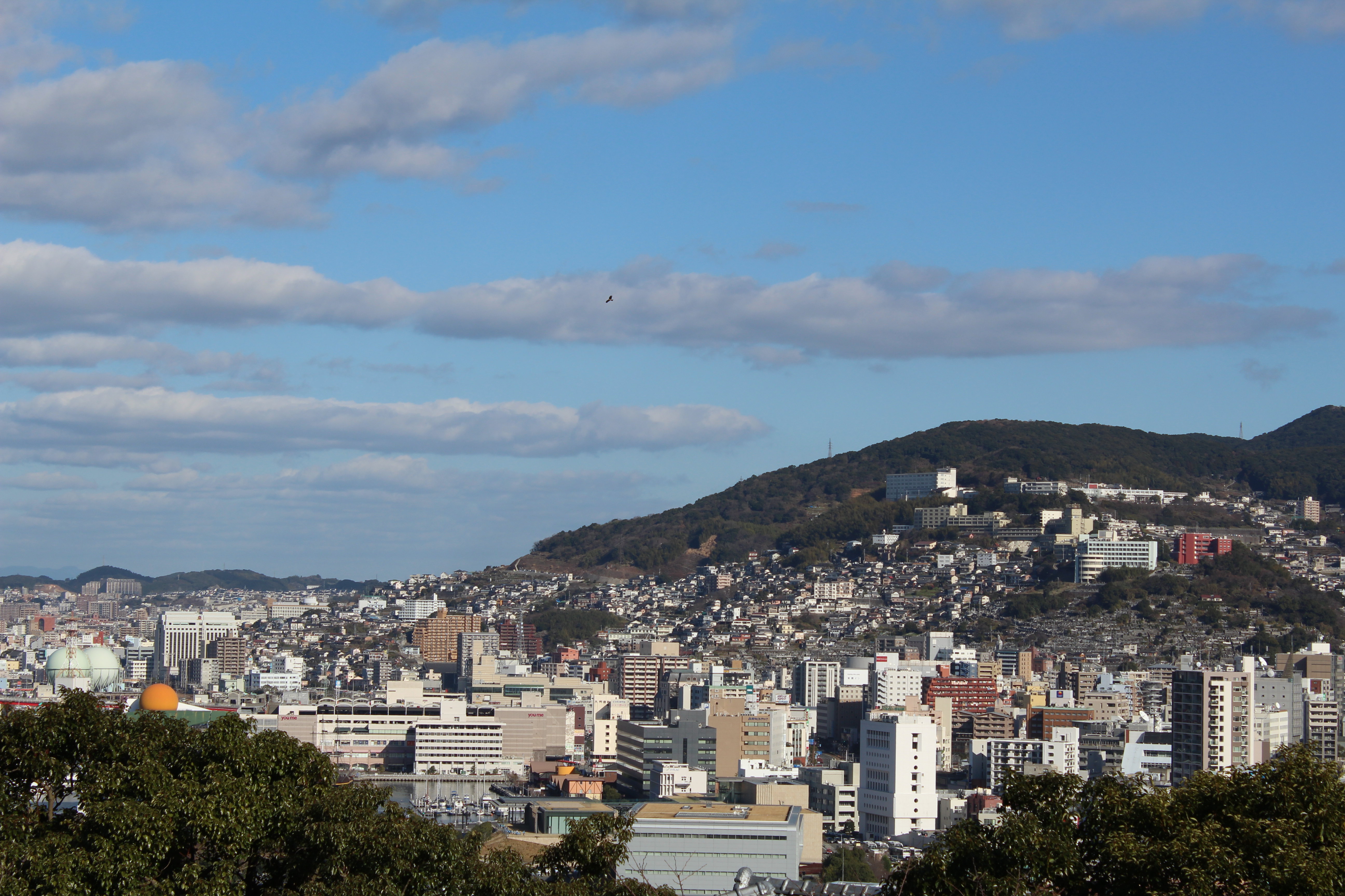 長崎旅遊(長崎旅遊有輻射嗎)