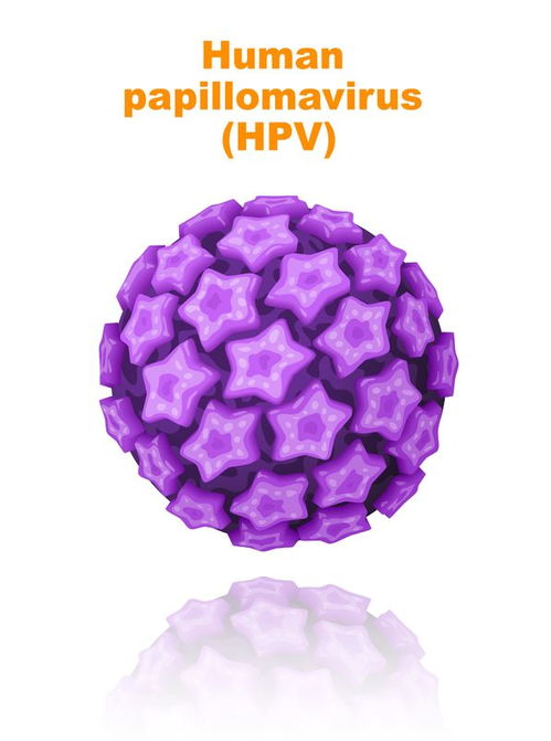 #HPV#ŮһҪ֪8HPVĿ֪ʶһ˵