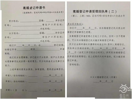 离婚申请短剧，情感与生活的交织