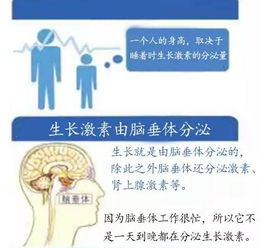 过度运动会影响生长激素的分泌吗_鱼类用生长激素有害么