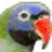 ˸ʴԱ