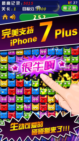 碰碰猫