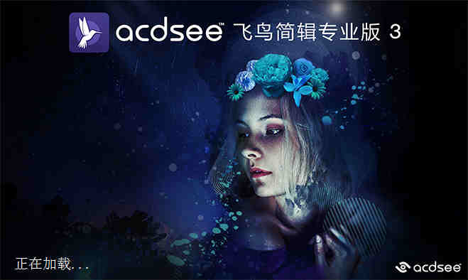 ACDSeeרҵ 3