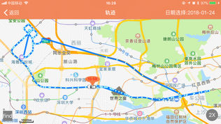 智能云狗