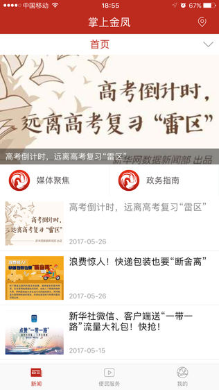 掌上金凤