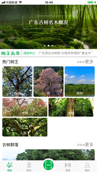 广东古树名木