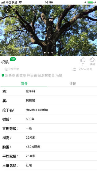 广东古树名木