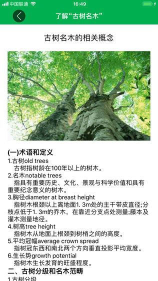广东古树名木