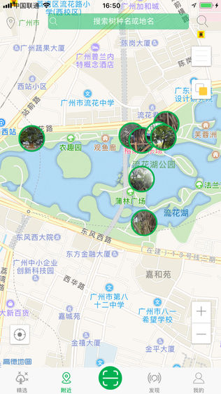 广东古树名木