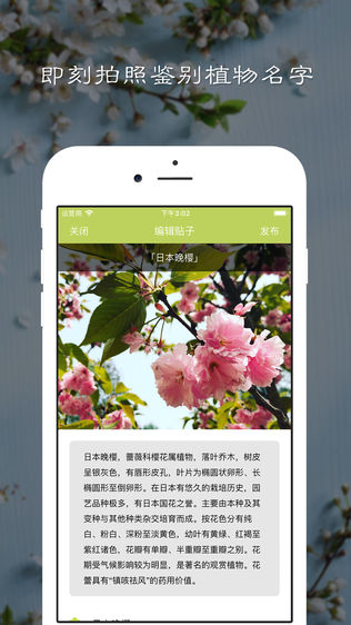 花草集