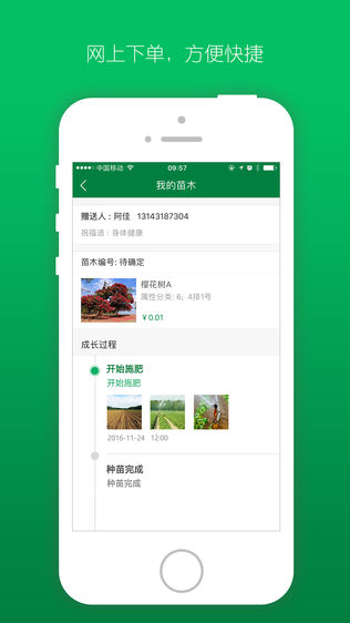 遇树林丰