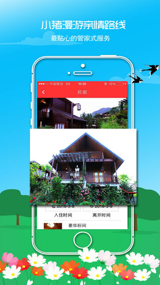小猪漫游