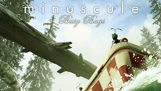 minuscule Busy Bugs