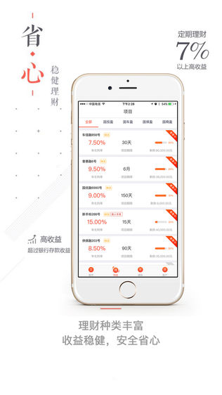 中网国投