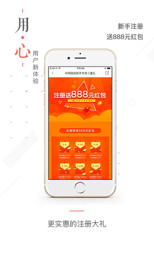 中网国投