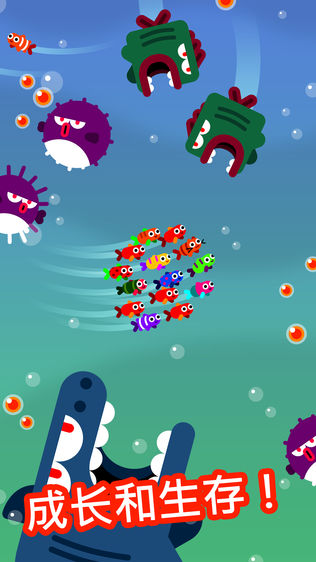 Fish & Trip