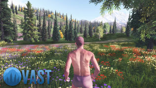 Vast Survival