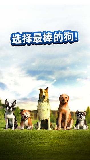 狗狗 Dog Simulator