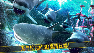 海洋 鲨鱼 危险 水族箱 世界 冒险 游戏