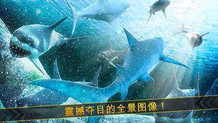 海洋 鲨鱼 危险 水族箱 世界 冒险 游戏