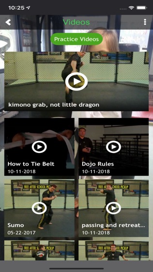 Lees Karate Incͼ2
