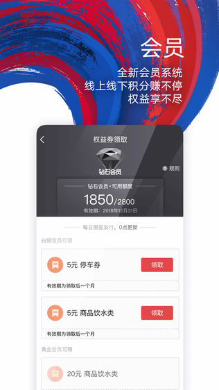 鹰和鹰
