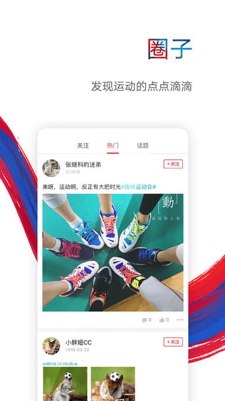 鹰和鹰