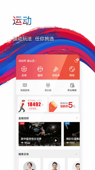 鹰和鹰