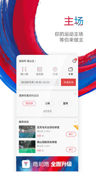 鹰和鹰