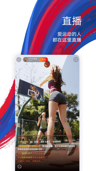鹰和鹰