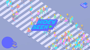 Hidey Seek