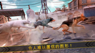ȫ Ϸ . ҵ С     Ϊ Ůͼ2