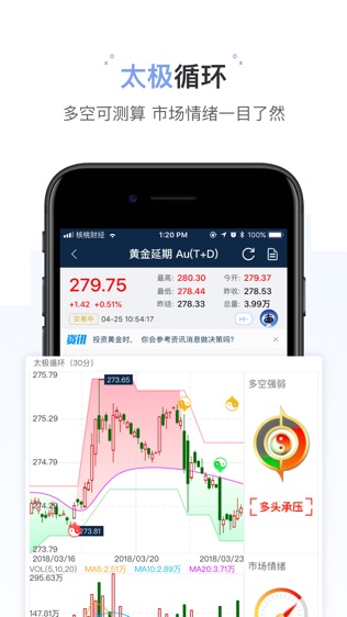 金大师