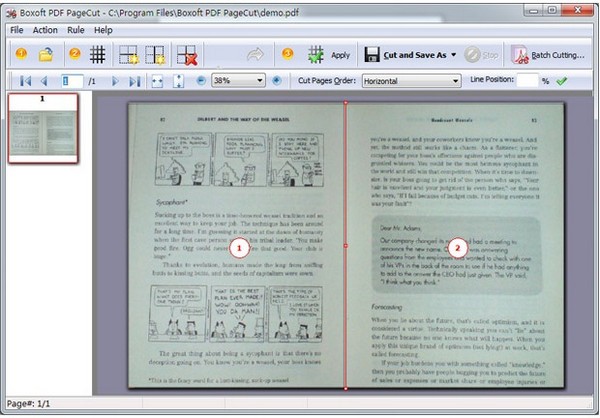 Boxoft PDF PageCut(PDFָ)