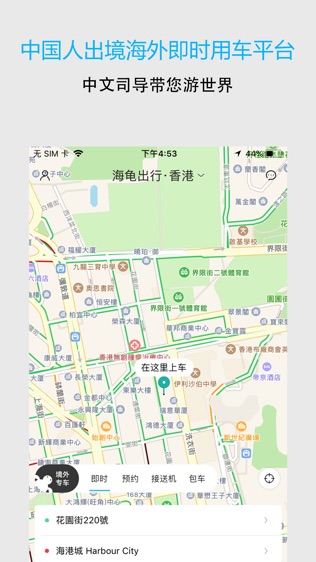 海龟出行